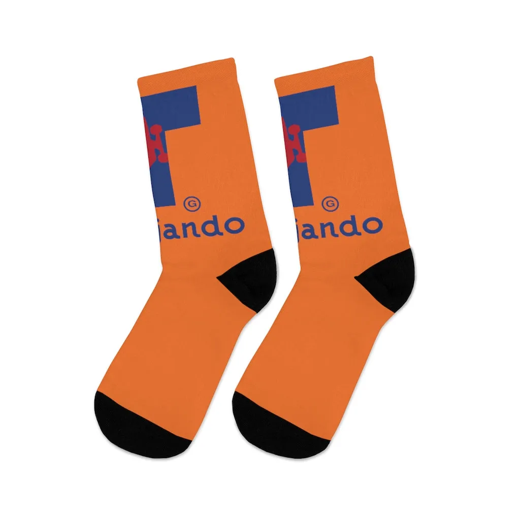 T Logo Orange Socks